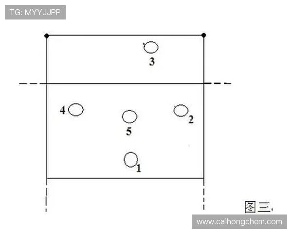 武汉排球队战术表现深度分析与数据解读探讨